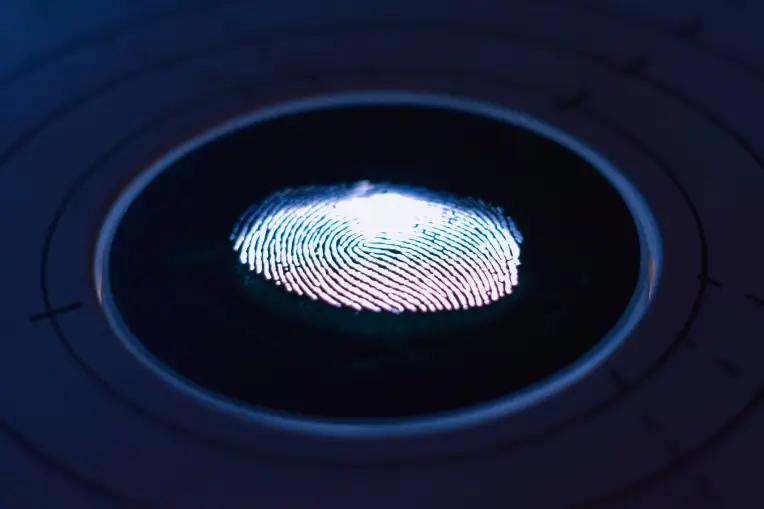Illuminated fingerprint being read by a biometric scanner